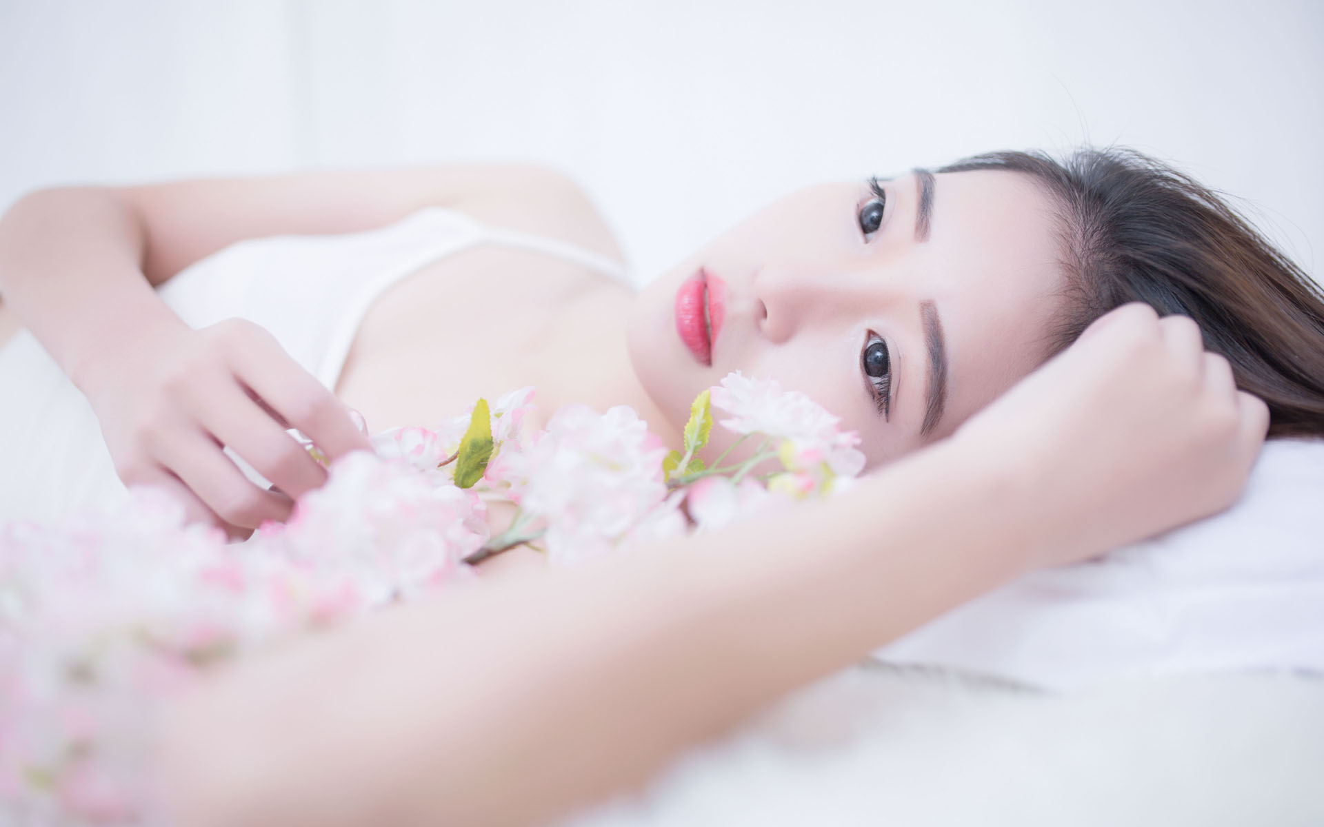 澳门历史城区申遗成功20周年 澳门文化局推出系列庆祝活动